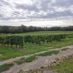 Casa de Férias Domaine Canteloup Vignes Et Piscine