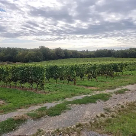 Domaine Canteloup Vignes Et Piscine Casa de Férias *