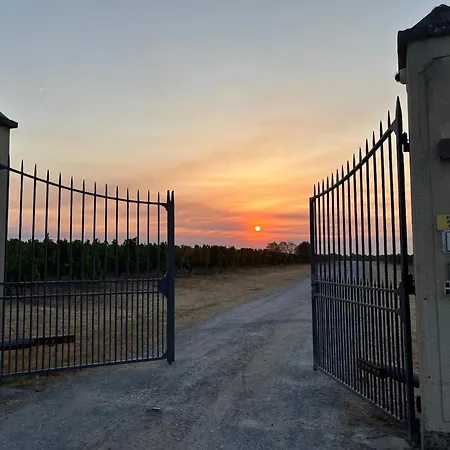 Casa vacanze Domaine Canteloup Vignes Et Piscine Saint-Caprais-de-Bordeaux