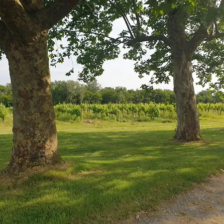 Σπίτι διακοπών Domaine Canteloup Vignes Et Piscine *