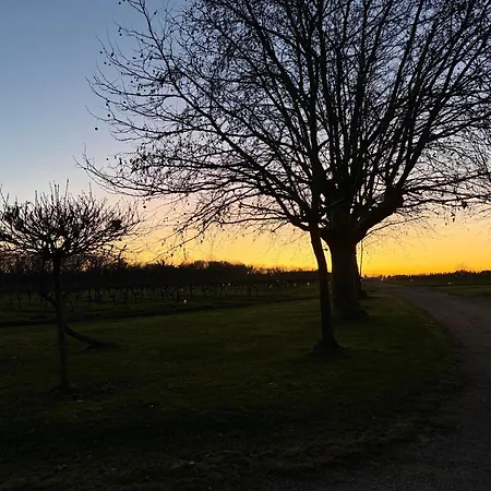 Domaine Canteloup Vignes Et Piscine Дом отдыха Saint-Caprais-de-Bordeaux